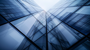 When Risks Collide: A Federated EA's Honest Confusion About Risk Management